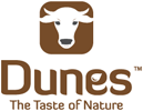 dunes-logo